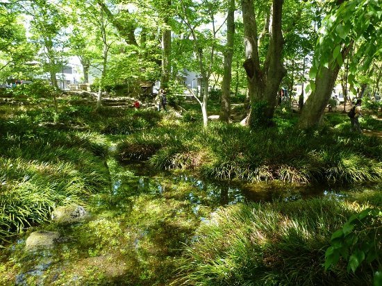 🏞️ 시라타키 공원 (白滝公園) 이미지 5